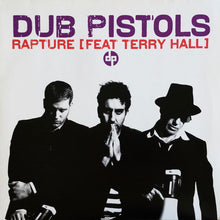 Load image into Gallery viewer, Dub Pistols Feat Terry Hall : Rapture (12")

