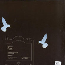 Load image into Gallery viewer, Glacier (3) : Rocky Mountains EP (12", EP)
