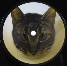 Load image into Gallery viewer, Glacier (3) : Rocky Mountains EP (12", EP)
