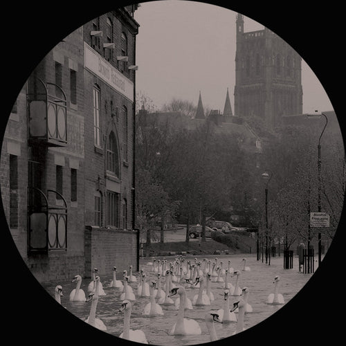 Hence Therefore : Bad Hope / Bad Despair (12