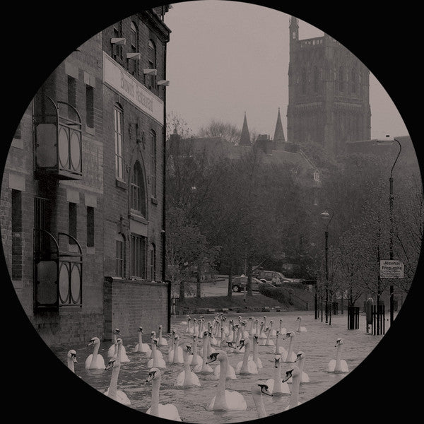 Hence Therefore : Bad Hope / Bad Despair (12