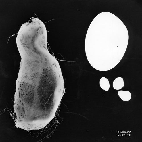 Gondwana (5) : Miccaotli (LP, MiniAlbum)