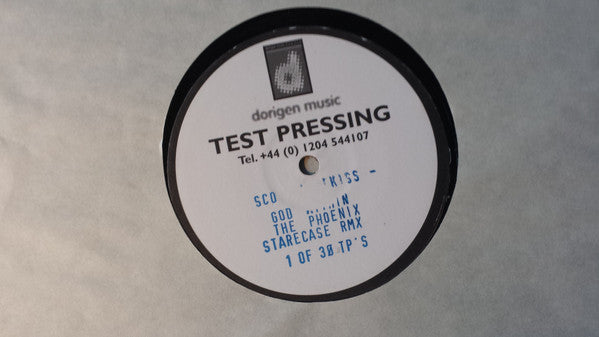 Scott Hardkiss Presents God Within : The Phoenix (Remixes) (12