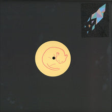 Load image into Gallery viewer, Wrng Pattern : Sounds From An Unknown Town (12&quot;)
