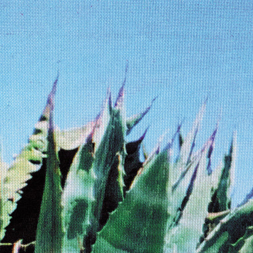 S Olbricht* : Purpleblue (12