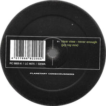 Load image into Gallery viewer, Clear View : Never Enough (12&quot;, Ltd)
