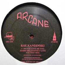 Load image into Gallery viewer, Ray Kandinski : Faking Love (12&quot;, Promo)
