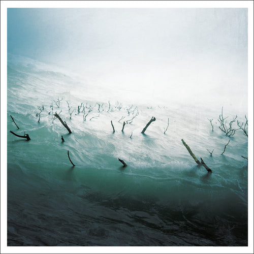 Sefton (3) : Stranded In Passion (12