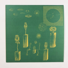 Load image into Gallery viewer, Bear Bones, Lay Low : Atlantean Encrypted Message (12&quot;, EP)
