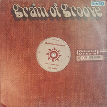 Load image into Gallery viewer, Laurent Wolf : Oriental Dream (12&quot;)
