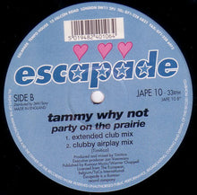 Load image into Gallery viewer, Tammy Why Not : Party On The Prairie (12&quot;)
