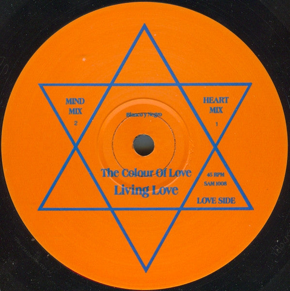 The Colour Of Love : Living Love (12