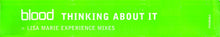 Load image into Gallery viewer, Blood : Thinking About It (Lisa Marie Experience Mixes) (12&quot;, Promo)
