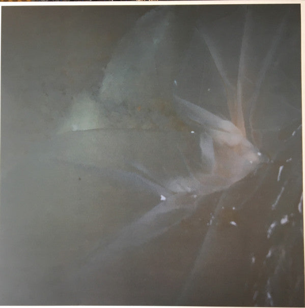 Equis (5) : Sitios (LP, Album, Ltd)