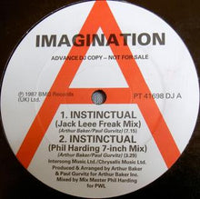 Load image into Gallery viewer, Imagination : Instinctual (12&quot;, Promo)
