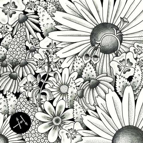 Various : Tour Diaries EP (12