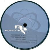 Section X : What Do We Do / Electric Friends (12