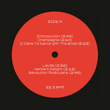 Load image into Gallery viewer, King Ende Shneafliet : Dimension Mix 01 (LP)
