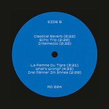 Load image into Gallery viewer, King Ende Shneafliet : Dimension Mix 01 (LP)
