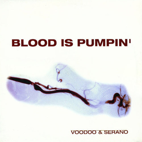 Voodoo & Serano : Blood Is Pumpin' (12