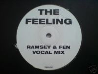 Load image into Gallery viewer, Sweet T* : The Feeling (Ramsey &amp; Fen Remixes) (12&quot;, Promo)

