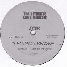 Load image into Gallery viewer, Various : The Ultimate Club Remixes (12&quot;, Unofficial)
