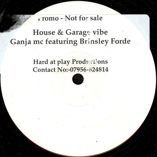Ganja MC Feat. Brinsley Forde : House & Garage Vibe (12
