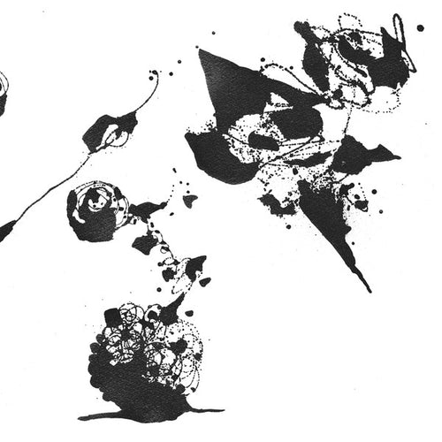 Jori Hulkkonen : The Purpose Of Shadows (12