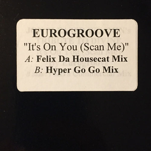Eurogroove : It's On You (Scan Me) (12