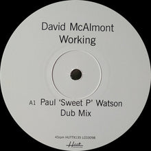 Load image into Gallery viewer, David McAlmont : Working (12&quot;)

