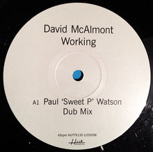 Load image into Gallery viewer, David McAlmont : Working (12&quot;)
