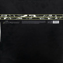 Load image into Gallery viewer, Extended Family : Ulysses (12&quot;)
