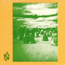 Load image into Gallery viewer, Sunny Balm : Eucalypt (LP, Album, Ltd)
