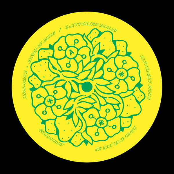 Various : Braw Shelter EP (12