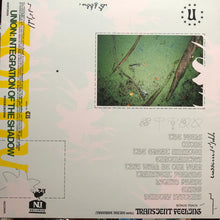 Load image into Gallery viewer, Sonny (42) : Union: Integration of the Shadow (LP, Album)

