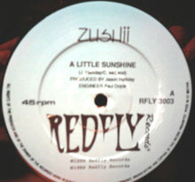 Load image into Gallery viewer, ZUSHii : A Little Sunshine (12&quot;)
