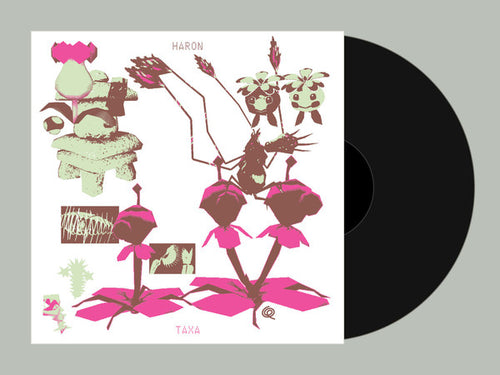 Haron (3) : Taxa (12