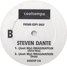 Load image into Gallery viewer, Steven Dante : (Just My) Imagination (12&quot;, Promo)
