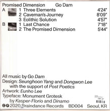 Load image into Gallery viewer, Go Dam :  Promised Dimension  (12&quot;, EP)
