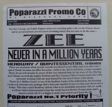 Load image into Gallery viewer, Zee Cowling : Never In A Million Years (2x12&quot;, Promo)
