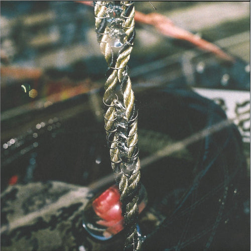 D-Leria : Still Standing (12
