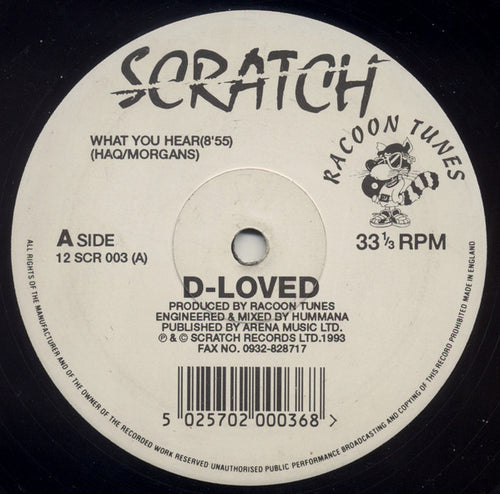 D-loved : What You Hear / When I Saw Her / When & What (Dub) (12