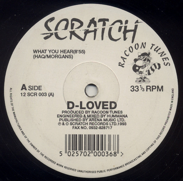 D-loved : What You Hear / When I Saw Her / When & What (Dub) (12