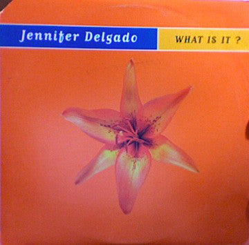 Jennifer Delgado : What Is It (About You)? (12