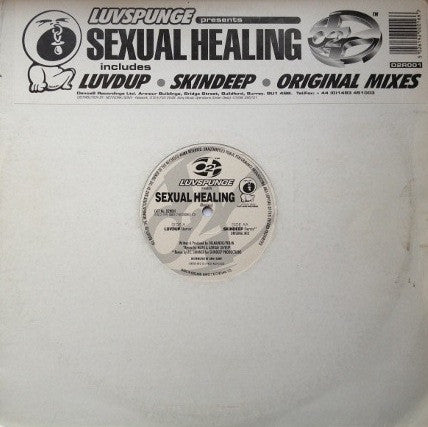 Luvspunge : Sexual Healing (12