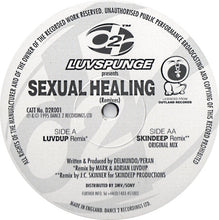 Load image into Gallery viewer, Luvspunge : Sexual Healing (12&quot;)
