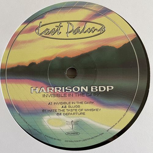 Harrison BDP : Invisible In The Dark EP (12