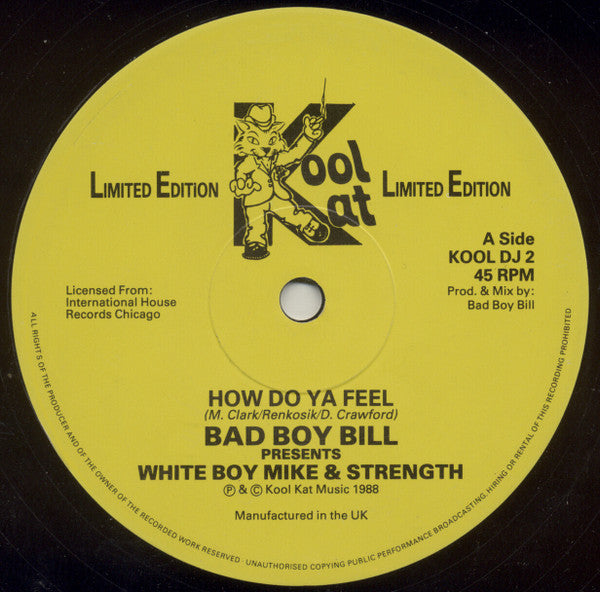 Bad Boy Bill Presents White Boy Mike & Strength : How Do Ya Feel (12