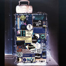 Load image into Gallery viewer, Crispin J. Glover : Fried (12&quot;)
