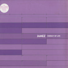 Load image into Gallery viewer, Jamez : Energy Of Life (12&quot;)
